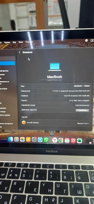 Apple MacBook (Retina, 12-inch, 2017) - фото 582857