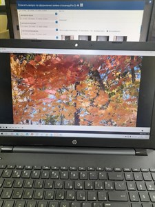 Ноутбук HP (E2-9000e)