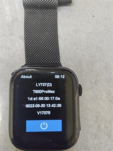 Умные часы Watch 8 T800 ProMax DT100 Black