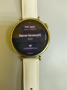 Умные часы HUAWEI GT 4 ARA-B19 WHITE [55020BHX]