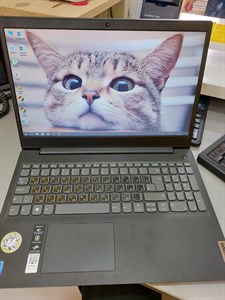 НОУТБУК LENOVO/Celeron N4020 890000460667